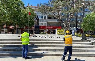 Burhaniye’de sokak hayvanları için ekip kuruldu