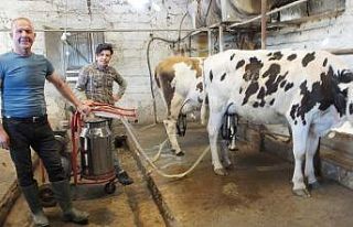 Burhaniye’de süt satışları arttı