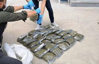 Bursa’da 32 kilogram bonzai ile böyle yakalandılar