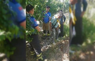 Bursa’da kuyuya düşen çakalı ekipler kurtardı