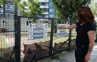 Çanakkale’de belediye barınağında hayvanların...