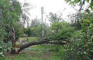 Çanakkale’de fırtına nedeniyle bir evin çatısı...