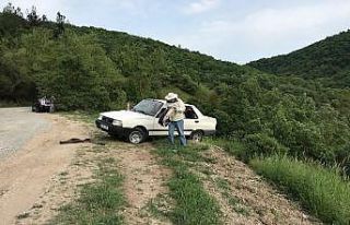 Çanakkale’de takla atan otomobildeki arılar yola...