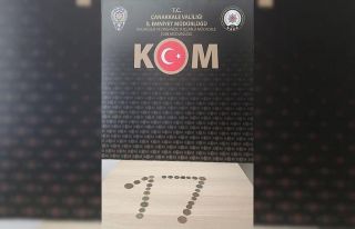 Çanakkale’de tarihi eser kaçakçılığı operasyonu