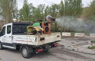 Çankaya’da bahar ilaçlaması