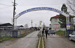 Canlı hayvan pazarı yeniden açıldı