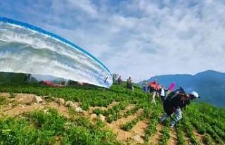 Çay tarlalarından yamaç paraşütleriyle heyecanlı...