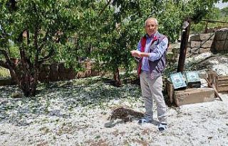 Çevril’de yağan dolu ortalığı beyaza bürüdü