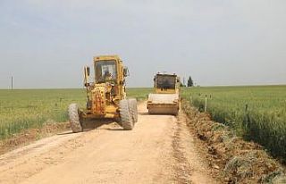 Ceylanpınar kırsalında asfalt öncesi son dokunuşlar