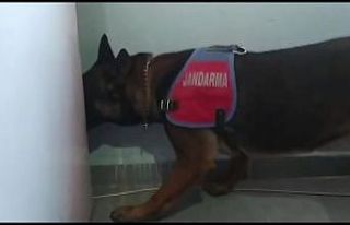 Cezaevinden izinli çıktı, yine uyuşturucu madde...