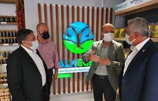 CHP heyeti Nazilli’de kuraklık ile ilgili incelemelerde...