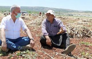 Çiftçiler gününde tarlada çalışan çiftçilerle...