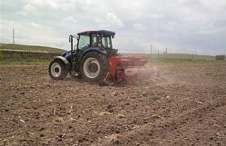 Çiftçiler silajlık mısır ekimine başladı