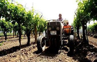 Çiftçiler Türkiye için üretmeye devam ediyor