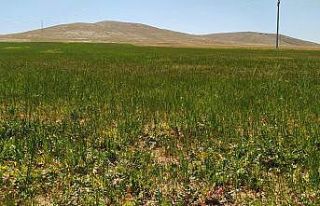 Çiftçileri kuraklık korkusu tedirgin ediyor