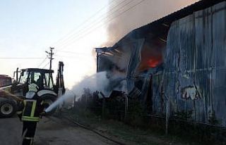 Çiftliğin saman deposunda korkutan yangın