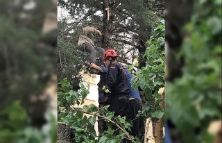 Çıktığı ağaçta fenalaşan adamı itfaiye kurtardı