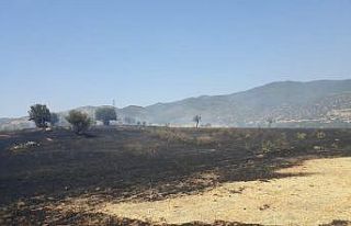 Çine’de onlarca dönüm ekili arazi alevlere teslim...