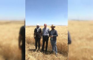 Cizre’de kuraklık tehlikesi