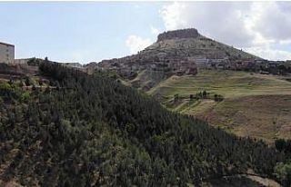 Çöplüğü ormana çevirdi, diktiği ağaçlara...