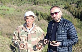 Coreker Yaylası’nda doğal mantarlar çıkmaya...