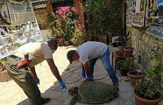 ’Corona Yeter’ bu defa kurtarılamadı