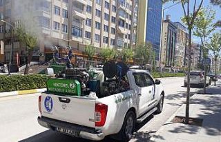 Çorum’da vektörel mücadele aralıksız devam...