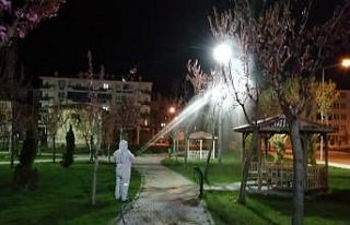 Çorum’da yaprak biti ile müdahale erken başladı