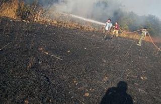 Datça’da 19 dönüm ekili alan kül oldu