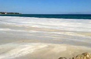 Deniz salyaları mavi bayraklı sahili beyaza çevirdi