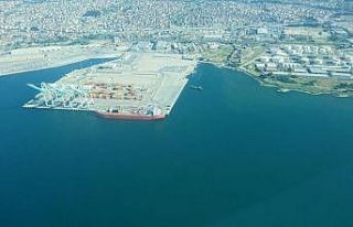 Deniz salyasının istila ettiği İzmit Körfezi...