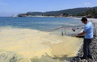 Deniz yüzeyindeki sarı tabakanın nedeni belli oldu