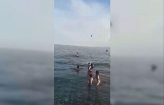 Denizdeki yavru kargaya yardım edeyim derken, yetişkin...