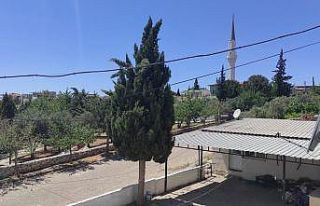 Denizköylüler 6 Haziran’da muhtarını seçecek