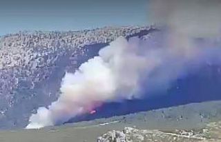 Denizli’de orman yangını
