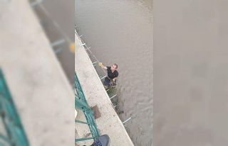 Dere yatağında mahsur kalan yavru kediyi itfaiye...