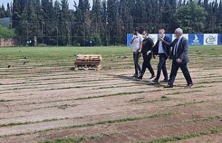 Derince Belediyespor sahası yenileniyor