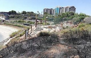 Didim’de makilik yangını büyümeden söndürüldü