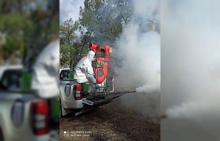 Didim’de sivrisinek ile mücadele çalışmaları...