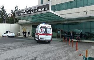 Diyarbakır’da bayram günü kıskançlık vahşeti
