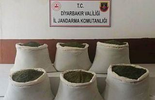 Diyarbakır’da çalıların arasında 201 kilogram...
