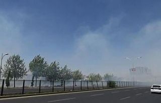 Diyarbakır’da korkutan anız yangını