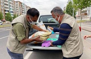 Diyarbakır’da tam kapanma döneminde sokak hayvanları...