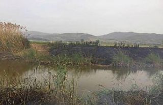 DKMP Aydın Şube Müdürlüğü sulak alanları korumaya...