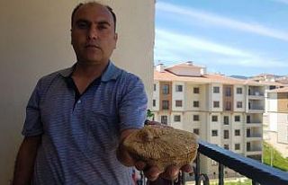 Doğa gezisinde bulduğu taş 45 milyon yıllık fosil...
