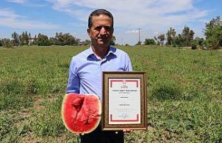 Doğan: "Ham karpuz milli ekonomiye zarar"