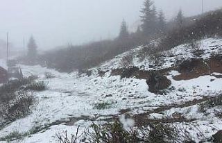 Doğu Karadeniz’de Mayıs’ta yaylalarda kar süprizi