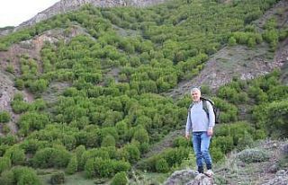 Dr. Ekinci Fizyo terapi için şifalı bitkiler topluyor