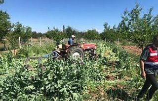 Drone ile tespit edildi, sökülerek imha edildi