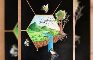 Düzce BİLSEM’den Türkiye birinciliği